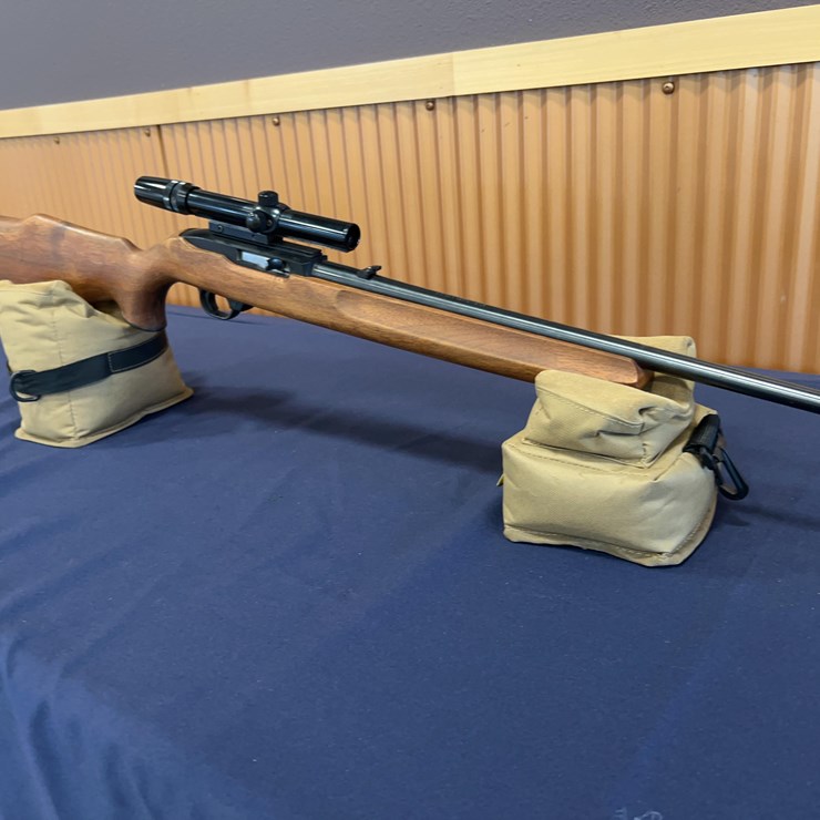 Ruger 10-22 Rifle