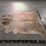 light-brindle-hide-image-4