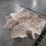 light-brindle-hide-image-5
