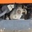 2016-kubota-rtvx1140-image-7