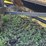 new-holland-973-image-10