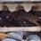 2019-asv-posi-track-rt75-image-17