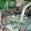 john-deere-r450-image-14