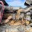 2007-kenworth-w900-image-28