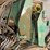 john-deere-7810-image-20