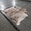 light-brindle-hide-image-1