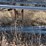 rack-with-wire-rebar-image-8