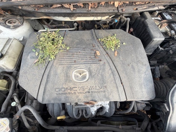 #32062-•-2006-mazda-5-wagon-|-bill-of-sale-only-image-45