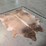 light-brindle-hide-image-7