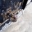 2012-ford-f550-xl-image-52