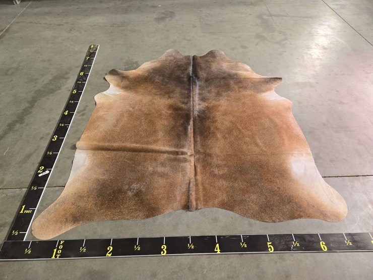 warm-aramel-hide-image-2