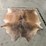 warm-aramel-hide-image-6