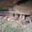 john-deere-r450-image-18