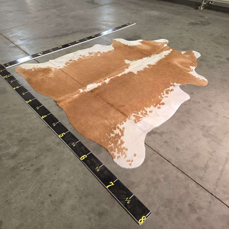 Beige and White Hide