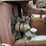 fordson-f-image-30