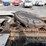 2004-freightliner-fld120-image-31