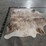 light-brindle-hide-image-8