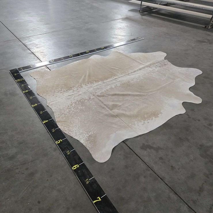 Ivory With Beige Hide