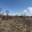 sold-onsite-only---old-machinery-and-scrap-iron-image-6