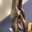 stevens-marksman-rifle-image-6