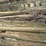 sold-onsite-only---posts,-wire-image-7