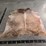 light-brindle-hide-image-2