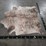 light-brindle-hide-image-4