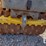 wacker-neuson-rt-image-5