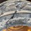 2009-caterpillar-232b2-image-32