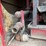 2009-mack-granite-gu813-image-38