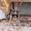 2009-caterpillar-232b-image-48