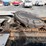 2004-freightliner-fld120-image-31