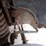 2008-ford-f550-xl-image-63