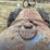fordson-major-image-11