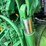 john-deere-7130-image-8