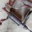 #5538-•-oil-pumps-image-2
