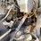 1994-ford-l8000-image-70