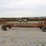 hay-wagon-6715-image-2
