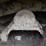 2023-link-belt-3740tl-image-33