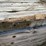 #3127-•-bundle-of-used-guard-rail-posts-image-7