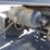 1999-kenworth-t800-image-94