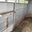 #2010-•-2004-corn-pro-16'-tandem-axle-livestock-trailer-(has-wi-title)-image-54