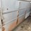 #2010-•-2004-corn-pro-16'-tandem-axle-livestock-trailer-(has-wi-title)-image-61