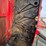 2015-massey-ferguson-2946-image-6