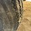 #2001-•-1965-glastron-14'-fiberglass-boat-(sells-with-bill-of-sale-only)-image-109