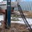 lewis-cattle-oiler-image-1