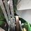 1983-john-deere-8650-image-33