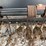 2006-macdon-2620-premier-mower-conditioner-image-10
