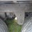 2017-utility-reefer-image-20