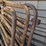 #5472-•-sioux-cattle-gates-image-2